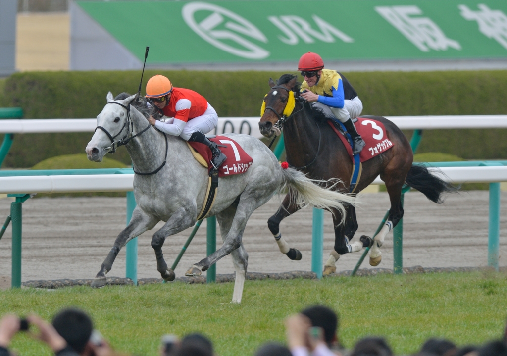 2013　阪神大賞典　ゴールドシップ
