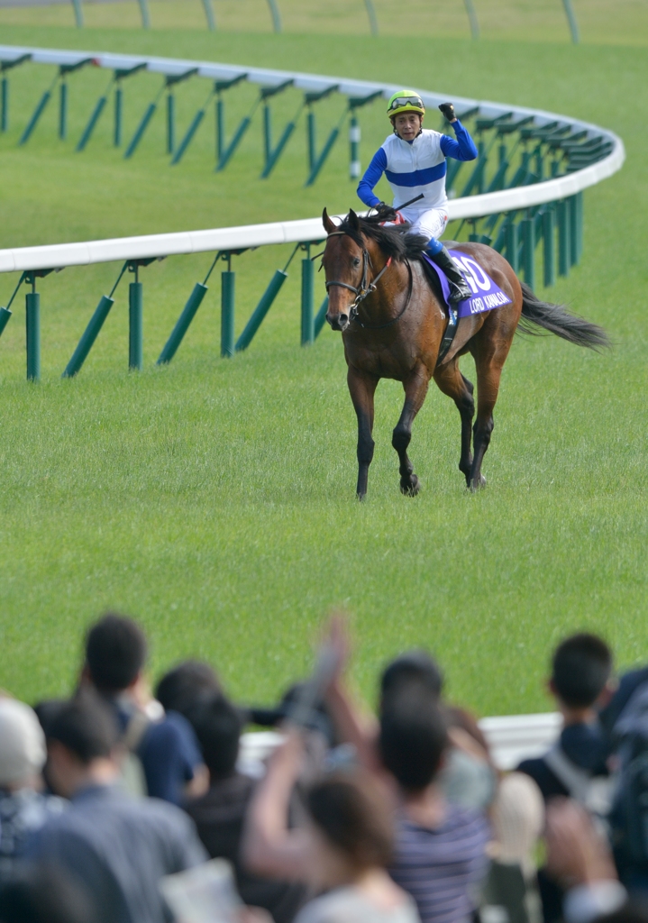 2012 安田記念 ロードカナロア