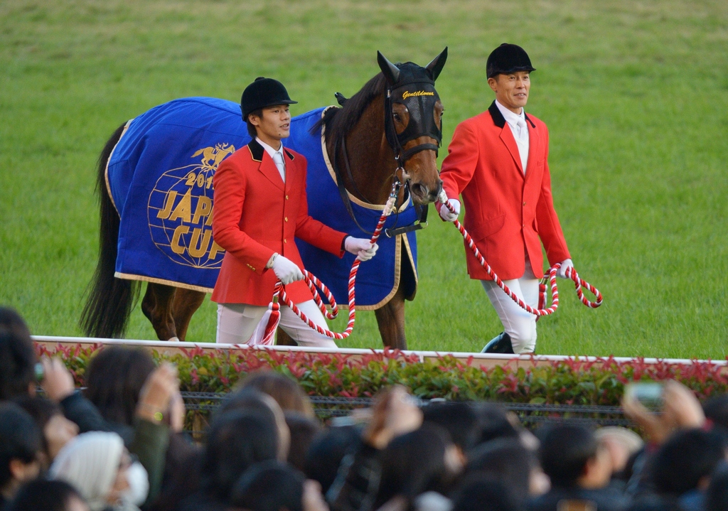2012　ジャパンカップ　ジェンティルドンナ