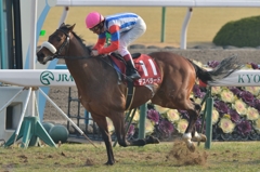 2014 京都記念　デスペラード
