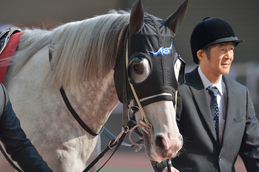 2014　阪神大賞典　ゴールドシップ