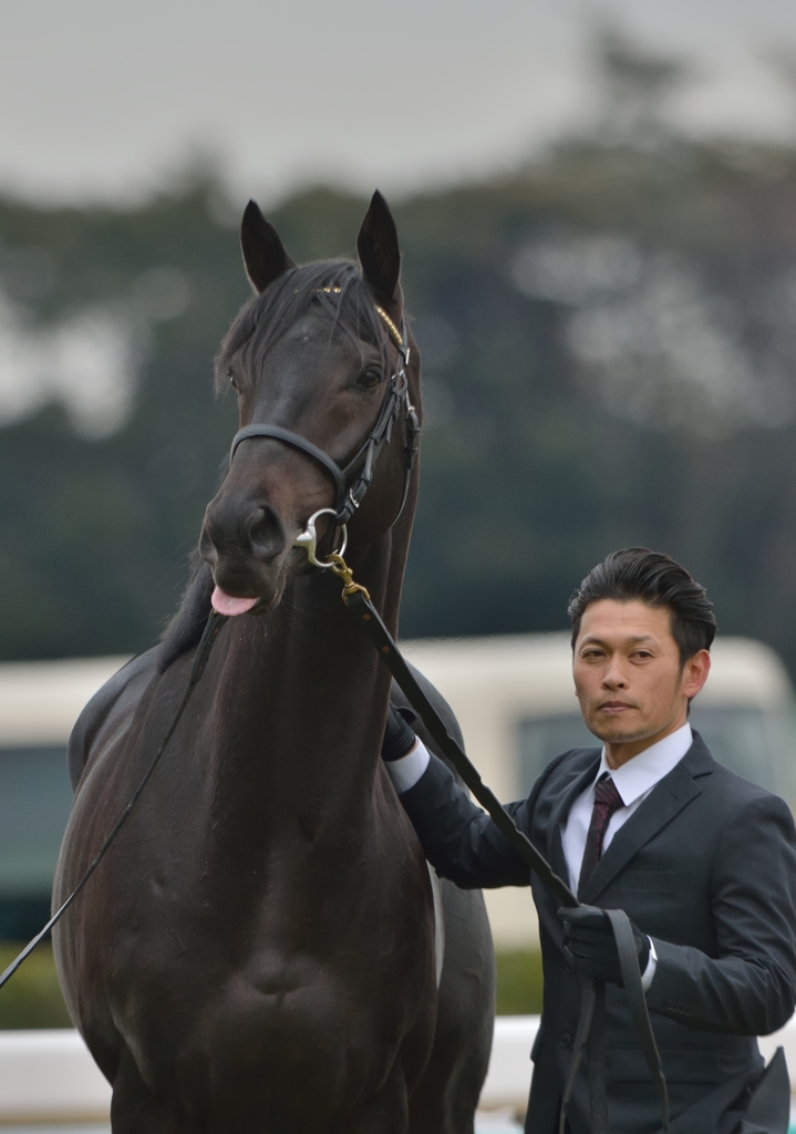 2013.12.23 エイシンフラッシュ 引退式