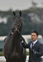 2013.12.23 エイシンフラッシュ 引退式