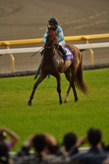 2014 天皇賞 スピルバーグ