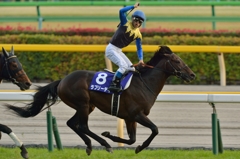 2015 天皇賞(秋) ラブリーデイ