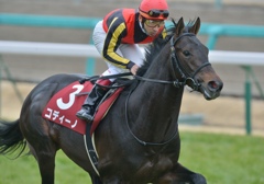 2013　弥生賞　コディーノ