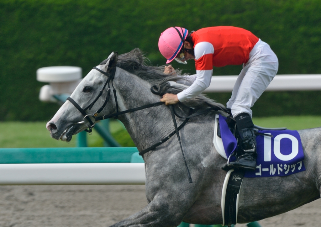 2013 宝塚記念　ゴールドシップ　④