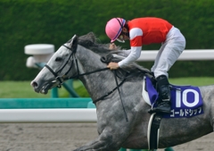 2013 宝塚記念　ゴールドシップ　④