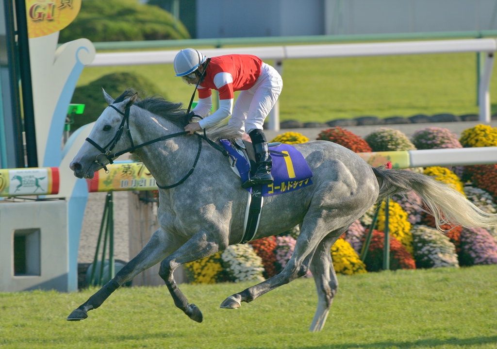 2012　菊花賞　ゴールドシップ