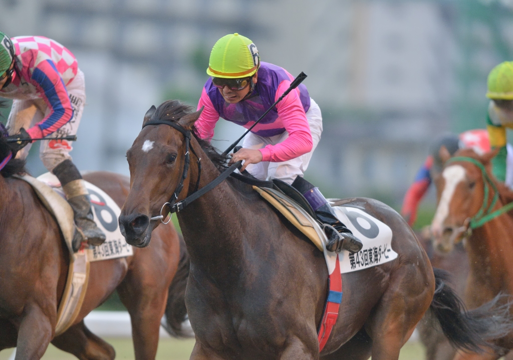 2013 東海ダービー　ウォータープライド