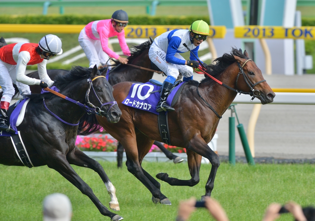 2012 安田記念 ロードカナロア