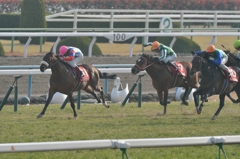 2014 京都記念　デスペラード