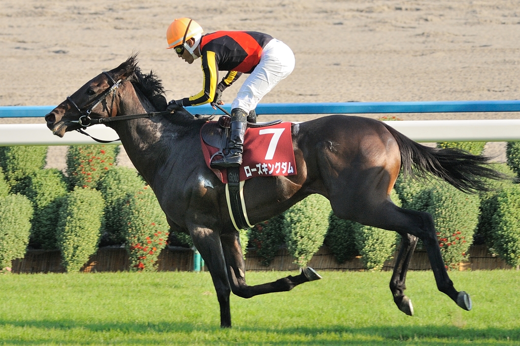 2011 京都大賞典 後藤浩輝