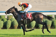 2011 京都大賞典 後藤浩輝