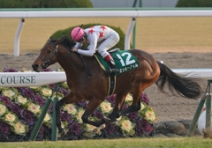 2014　シンザン記念　ミッキーアイル