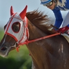 笠松競馬