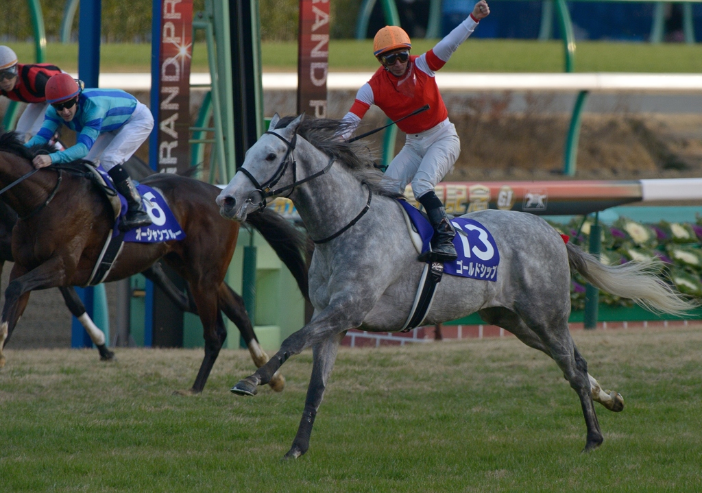 2012 有馬記念　ゴールドシップ