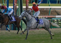 2012 有馬記念　ゴールドシップ