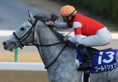 2012 有馬記念　ゴールドシップ