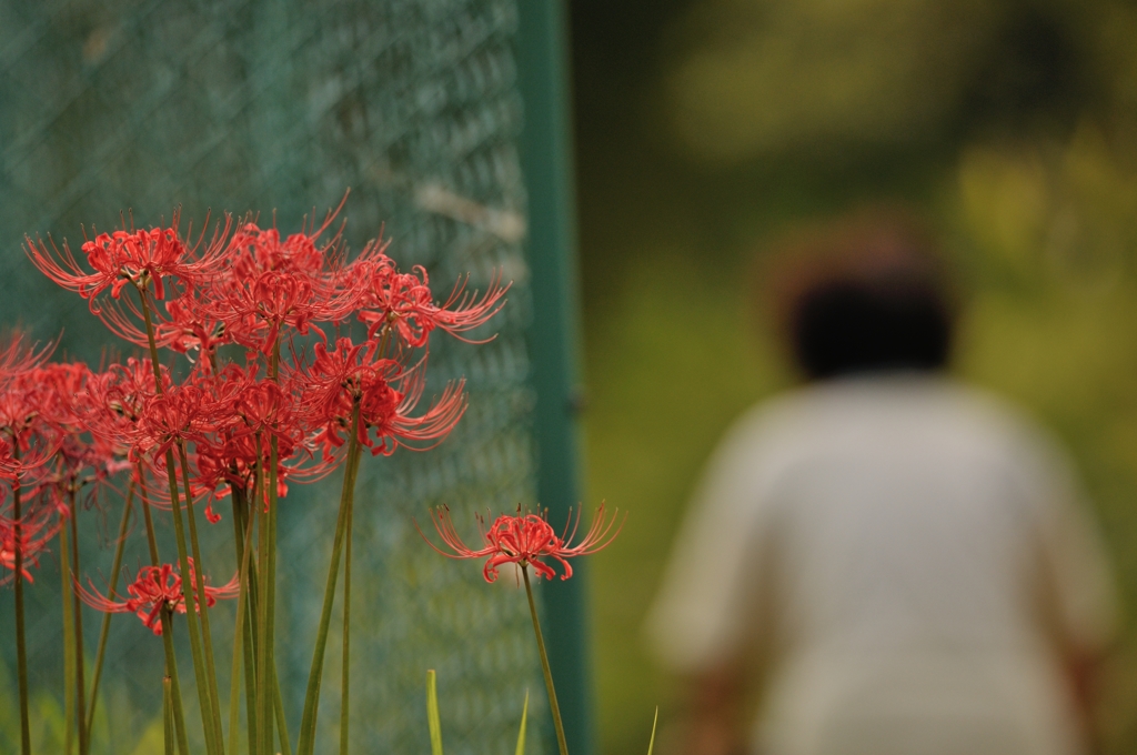 DSC_6318a