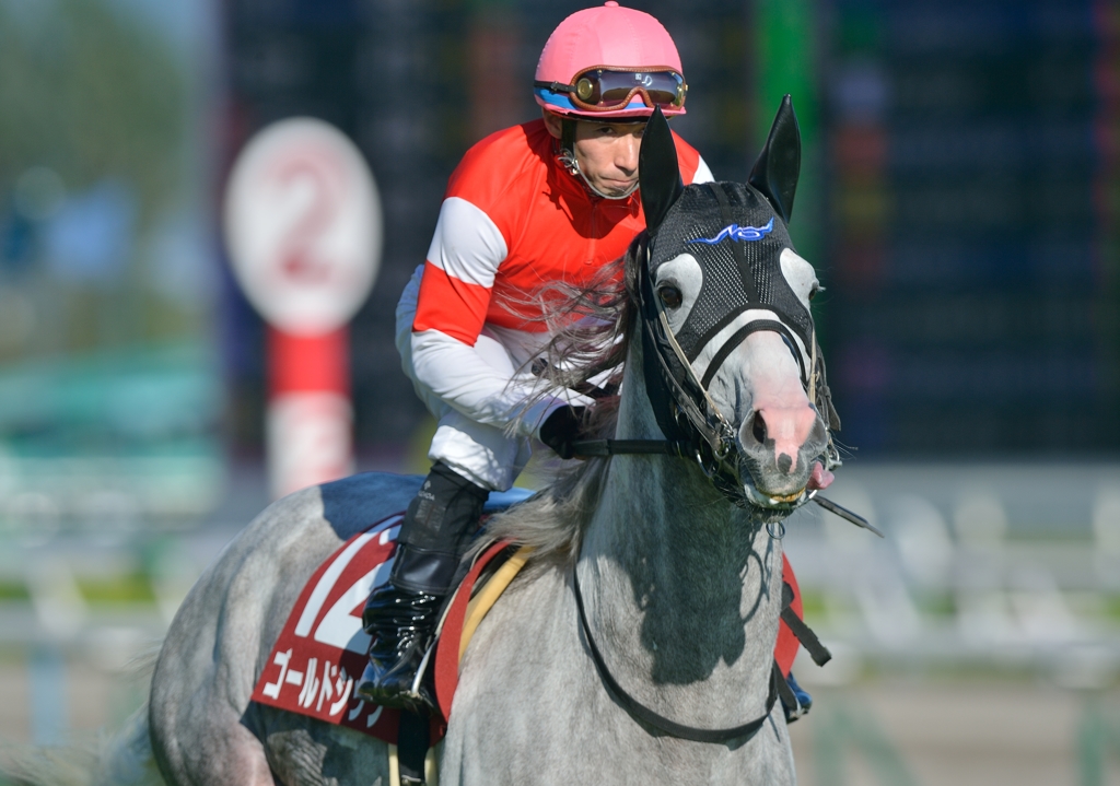 2013京都大賞典　ゴールドシップ