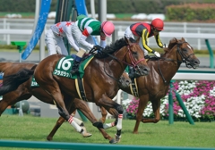 2013　中京記念　フラガラッハ①