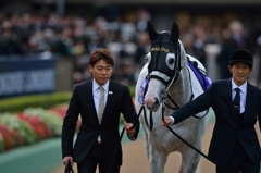 2015 ジャパンカップ ショウナンパンドラ