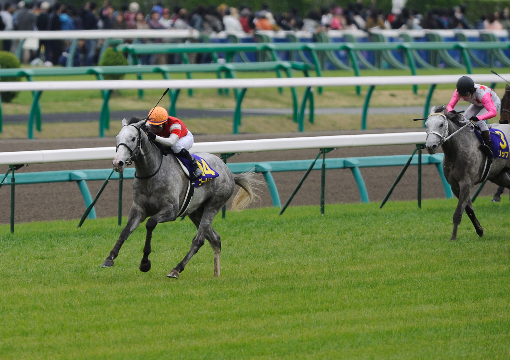 2012皐月賞　ゴールドシップ