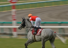 2013　阪神大賞典　ゴールドシップ