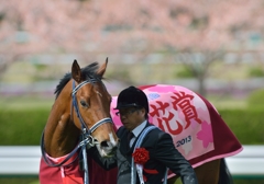 2013　桜花賞　アユサン