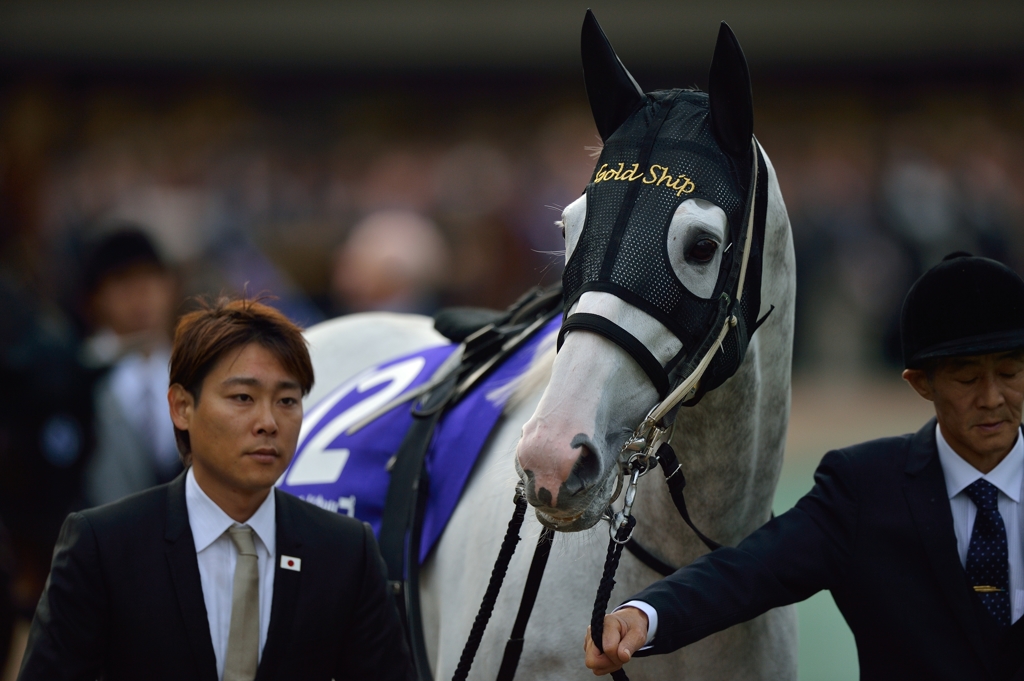 2015 ジャパンカップ ゴールドシップ