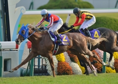 2014　菊花賞　トーホウジャッカル