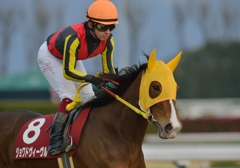 2013 京都記念　ジョワドヴィーヴル