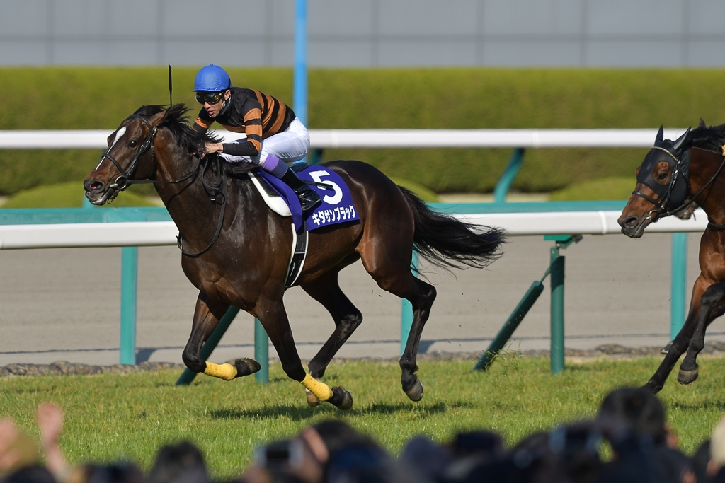 2017 大阪杯 キタサンブラック