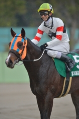 2013　名古屋大賞典　ホッコータルマエ