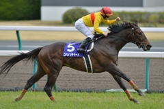 2014　高松宮記念　コパノリチャード