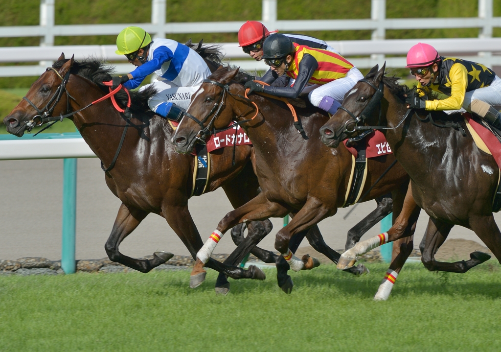 2012セントウルステークス①