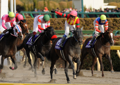 2012フェブラリーステークス　テスタマッタ