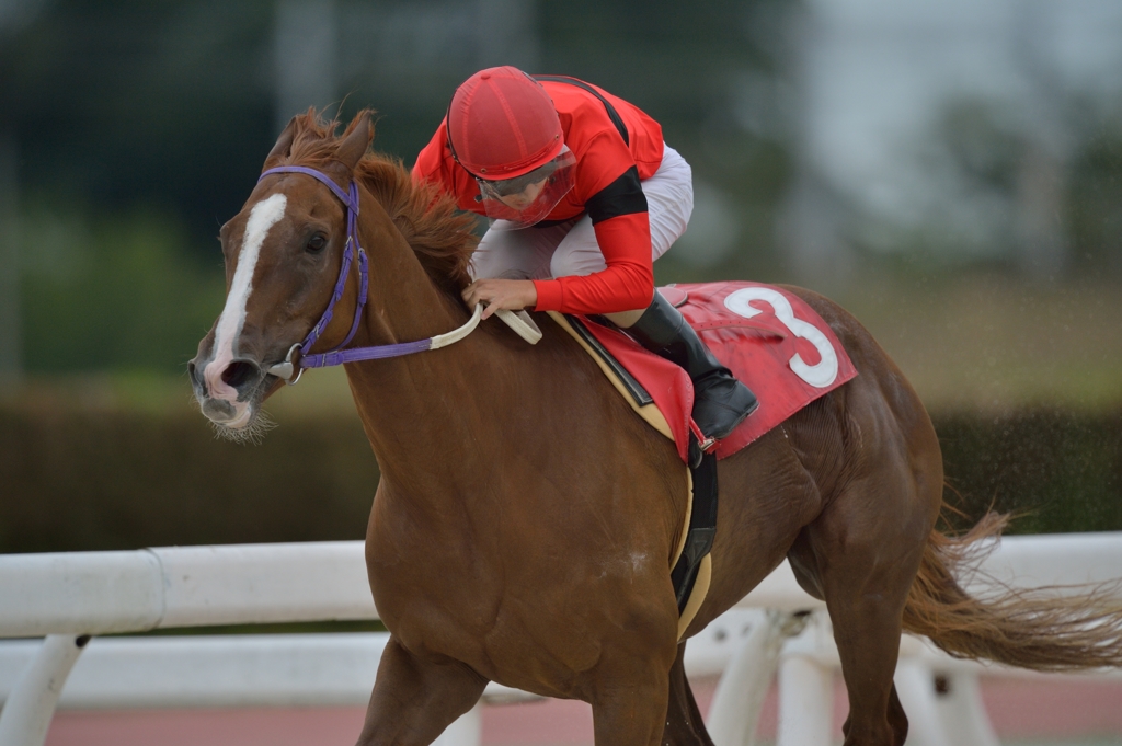 笠松競馬