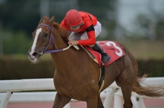 笠松競馬