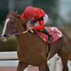 笠松競馬