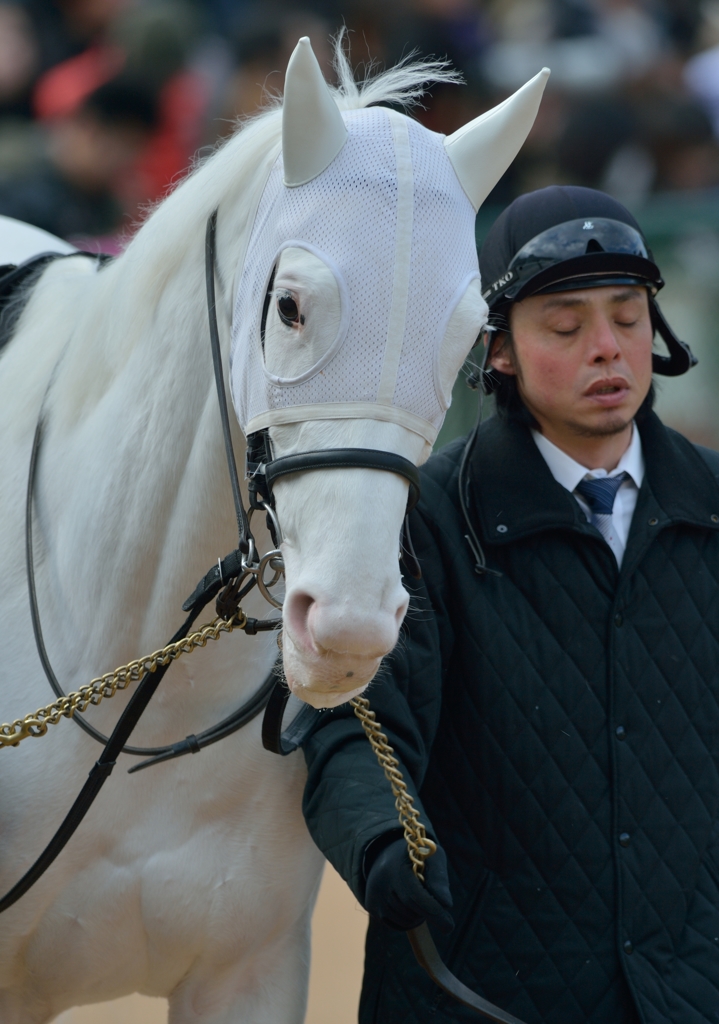 2013 大津特別　マシュマロ