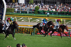 2012東京優駿　ディープブリランテ