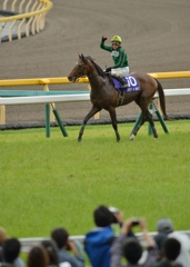 2014 安田記念　ジャスタウェイ