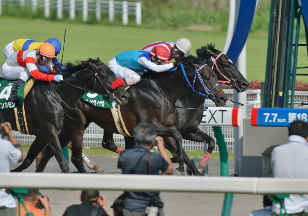 2013　プロキオンS アドマイヤロイヤル