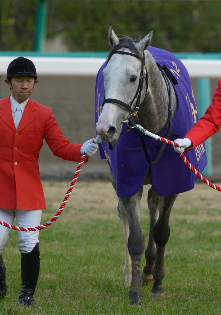 2012 有馬記念　ゴールドシップ