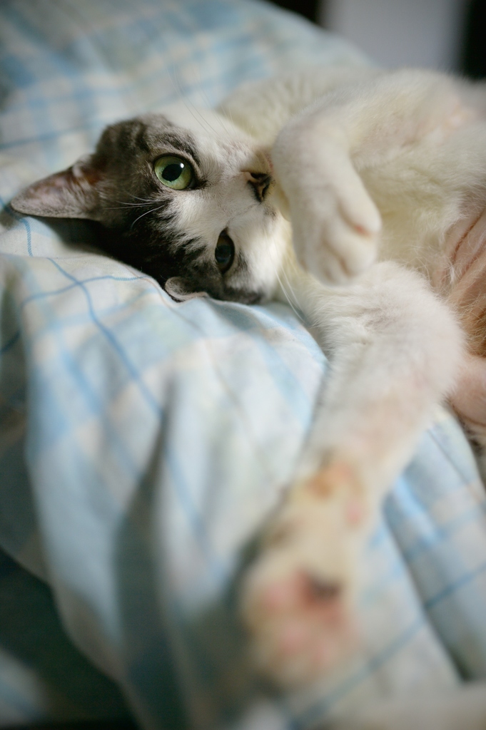 DSC_0394a