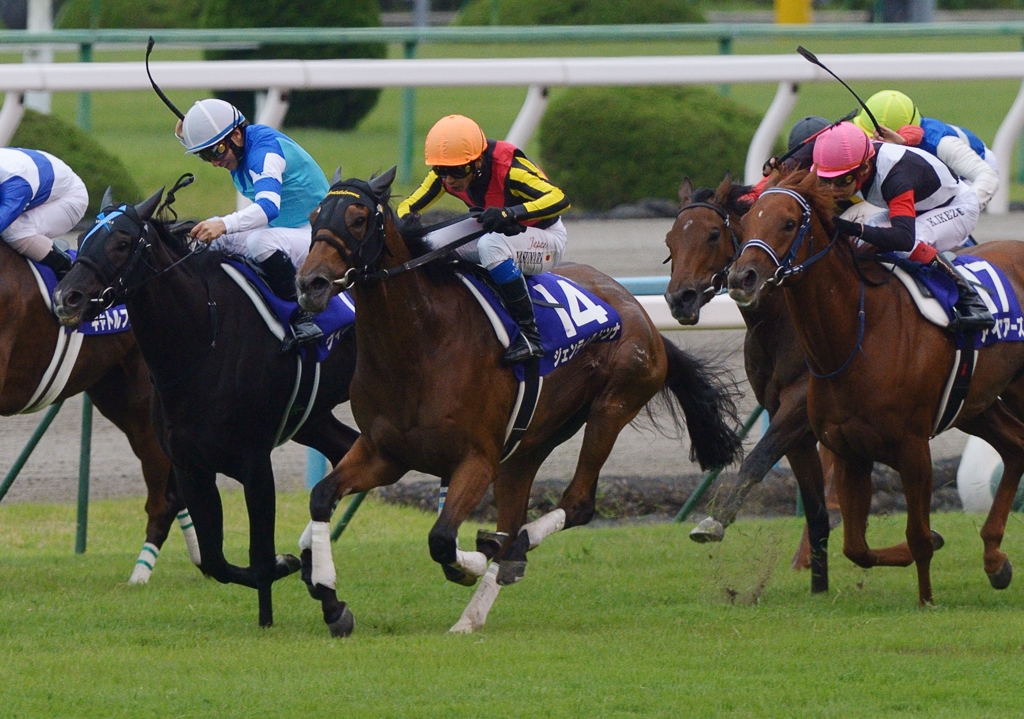 2012　秋華賞　ジェンティルドンナ