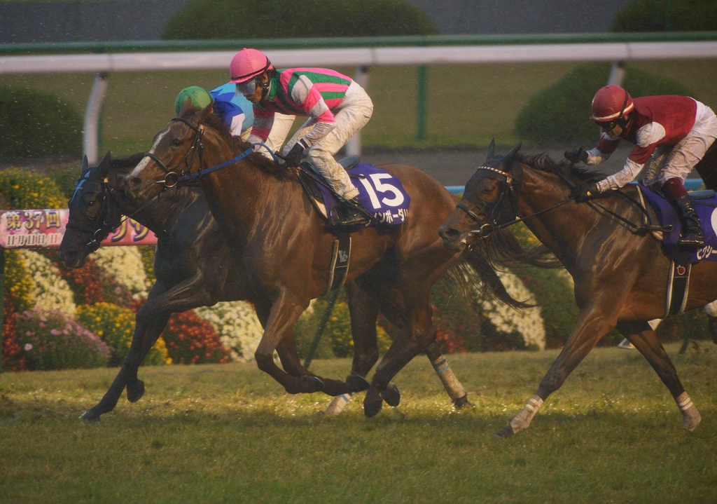 2012　エリザベス女王杯　レインボーダリア