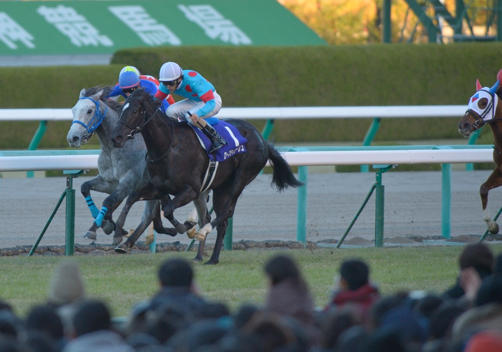 2012 阪神JF ローブティサージュ